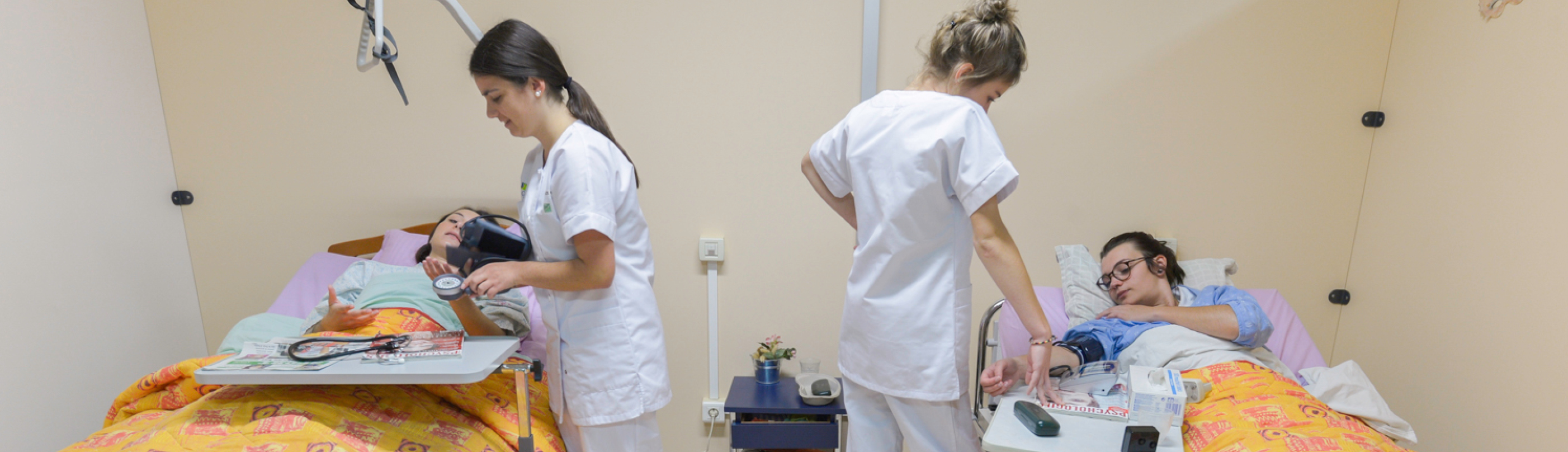 Bac Pro Assp Accompagnement Soins Et Services A La Personne Lycee Saint Andre